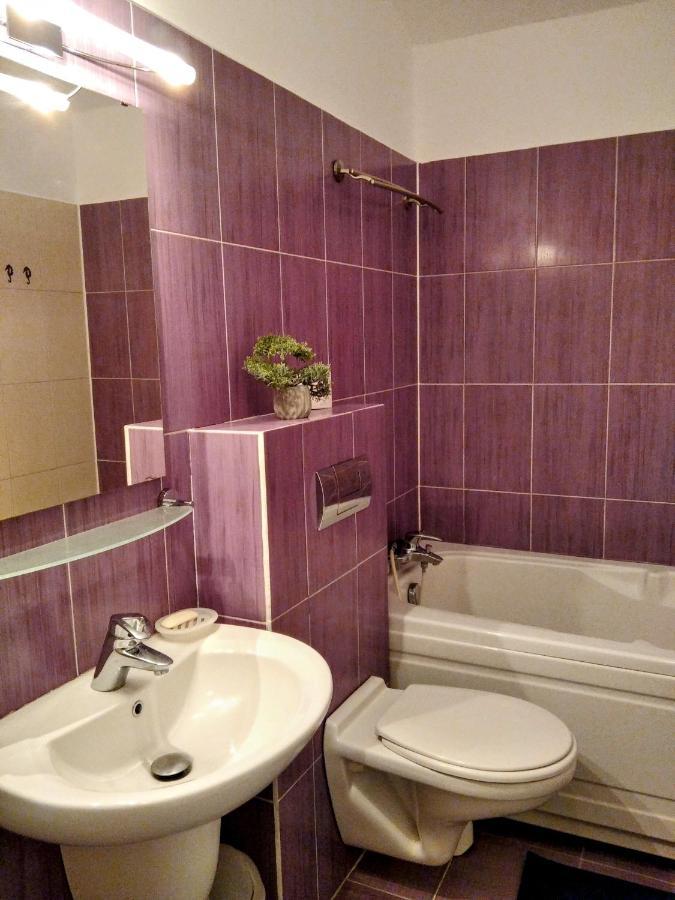 Lovely Central Apartment Брашов Екстериор снимка